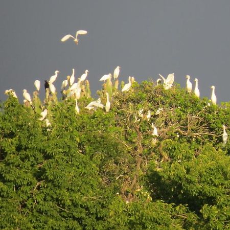 Отель Chapwani Private Island Grave Island Экстерьер фото