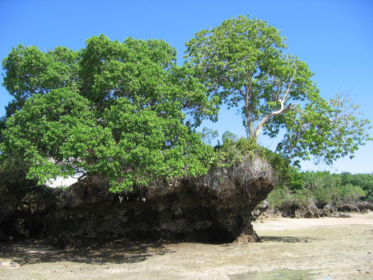 Отель Chapwani Private Island Grave Island Экстерьер фото