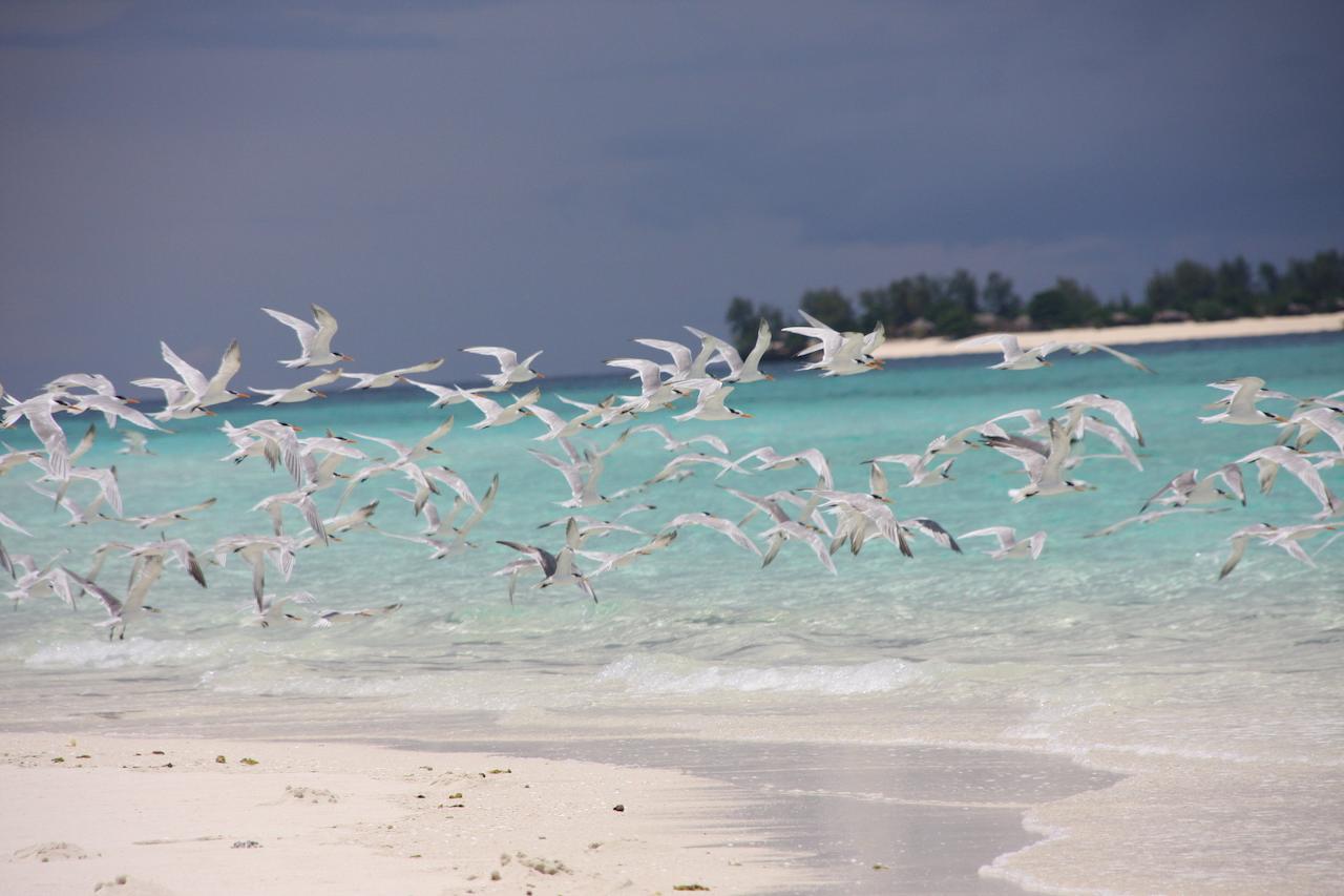 Отель Chapwani Private Island Grave Island Экстерьер фото